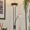 Rom Golvlampa LED Svart, 2-ljuskällor
