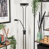 Rom Golvlampa LED Svart, 2-ljuskällor