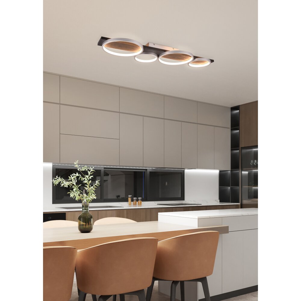 Trio Lampor Medera Taklampa LED Svart, Titan, 1-ljuskällor main product photo