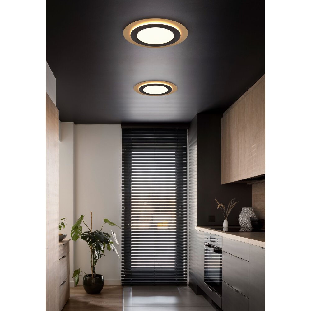 Trio MORGAN Taklampa LED Guld, Svart, 1-ljuskällor, Fjärrkontroll main product photo