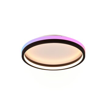 Reality HIKO Taklampa LED Svart, 2-ljuskällor, Fjärrkontroll
