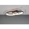 Reality Malaga Taklampa LED Svart, Vit, 1-ljuskällor