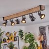 Safari Taklampa Naturfärger, Svart, 6-ljuskällor
