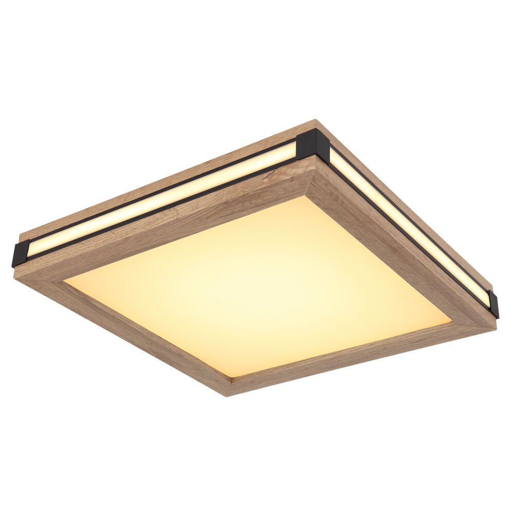 Globo CARLA Taklampa, Panel LED Svart, Vit, 2-ljuskällor main product photo