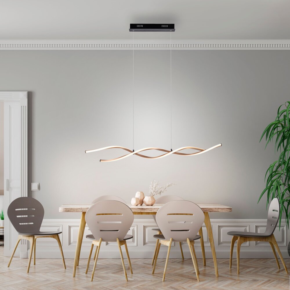 Paul Neuhaus POLINA Pendelbelysning LED Svart, 1-ljuskällor main product photo