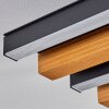 Favorina Taklampa, Panel LED Naturfärger, Svart, 1-ljuskällor