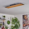 Favorina Taklampa, Panel LED Naturfärger, Svart, 1-ljuskällor