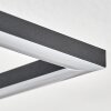 Obo Taklampa LED Svart, 1-ljuskällor