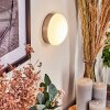 Hutton Vägglampa LED Nickel matt, 1-ljuskällor