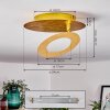 Sunrise Taklampa LED Guld, 1-ljuskällor