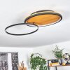 Cardozo Taklampa LED Naturfärger, Svart, 1-ljuskällor