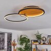 Cardozo Taklampa LED Naturfärger, Svart, 1-ljuskällor