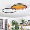 Cardozo Taklampa LED Naturfärger, Svart, 1-ljuskällor