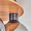 Koyoto Taklampa 30 cm Naturfärger, Svart, 5-ljuskällor