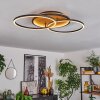 Cardozo Taklampa LED Naturfärger, Svart, 1-ljuskällor