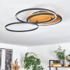 Cardozo Taklampa LED Naturfärger, Svart, 1-ljuskällor