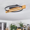 Carcano Taklampa LED Naturfärger, Svart, 1-ljuskällor