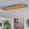 Favorina Taklampa, Panel LED Naturfärger, Svart, 1-ljuskällor