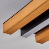 Favorina Taklampa, Panel LED Naturfärger, Svart, 1-ljuskällor