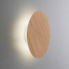 Paul Neuhaus PUNTUA Vägglampa LED Vit, 1-ljuskällor, Fjärrkontroll