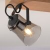 Leuchten Direkt LANGSTRÖM Taklampa, Takstrålkastare Naturfärger, Svart, 2-ljuskällor