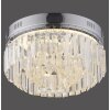 Paul Neuhaus KRISTA Taklampa LED Krom, 1-ljuskällor