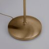 Paul Neuhaus PINO Golvlampa LED Antikmässing, 1-ljuskällor