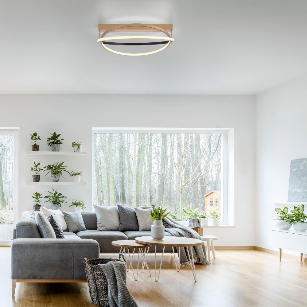 Paul Neuhaus Q-Serie Q-BELUGA Taklampa LED Guld, 1-ljuskällor, Fjärrkontroll main product photo