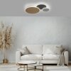 Paul Neuhaus Q-Serie Q-PIATO Taklampa LED Vit, 1-ljuskällor, Fjärrkontroll