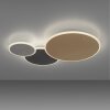 Paul Neuhaus Q-Serie Q-PIATO Taklampa LED Vit, 1-ljuskällor, Fjärrkontroll