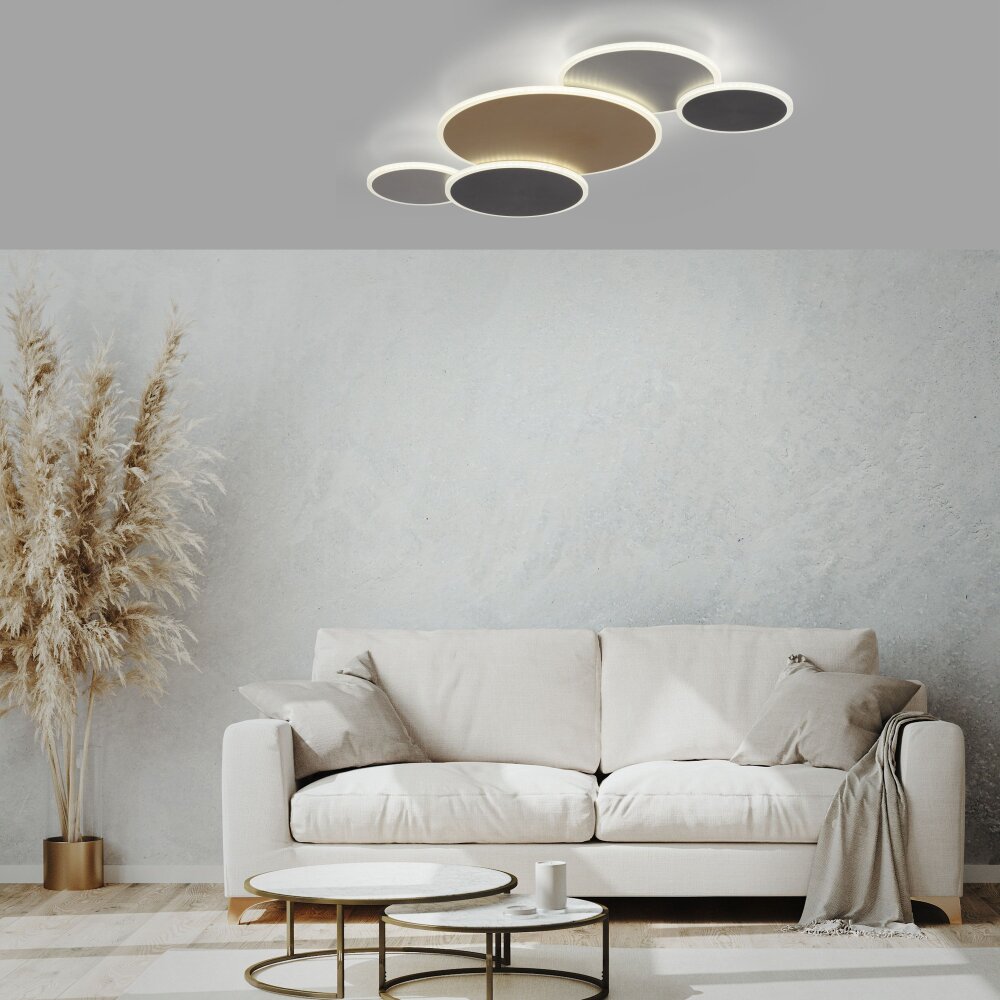 Paul Neuhaus Q-Serie Q-PIATO Taklampa LED Vit, 1-ljuskällor, Fjärrkontroll main product photo