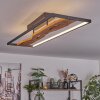 Nevogilde Taklampa LED Naturfärger, Svart, 1-ljuskällor