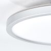 Pawcatuck Taklampa, Infälld lampa, Panel LED Krom, Vit, 1-ljuskällor