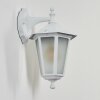 Loria vägglampa utomhus Vit, 1-ljuskällor Loria vägglampa utomhus Vit, 1-ljuskällor