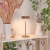 Algeraz Bordslampa utomhus, Bordslampa LED Mässing, 1-ljuskällor