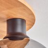 Koyoto Taklampa 45 cm Naturfärger, Svart, 6-ljuskällor
