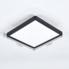 Pawcatuck Taklampa, Infälld lampa, Panel LED Vit, 1-ljuskällor