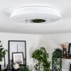 Lumsden Taklampa LED Vit, 1-ljuskällor, Rörelsedetektor