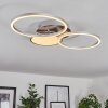 Hosum Taklampa LED Nickel matt, 1-ljuskällor