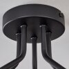 Gastor Taklampa 52 cm Klart, 5-ljuskällor