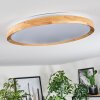 Sofo Taklampa LED Vit, 1-ljuskällor, Fjärrkontroll