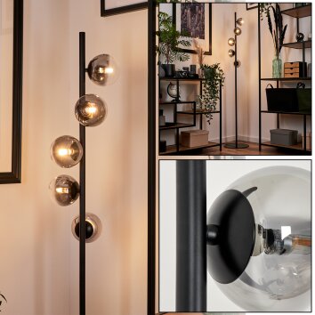 Remaisnil Golvlampa Klart, Rökfärger, 5-ljuskällor Remaisnil Golvlampa Klart, Rökfärger, 5-ljuskällor