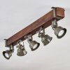 Pehefito Taklampa, Takstrålkastare Brun, Svart, 5-ljuskällor