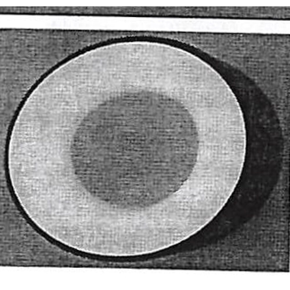 Steinhauer Ringlede Taklampa Vit, 1-ljuskällor main product photo