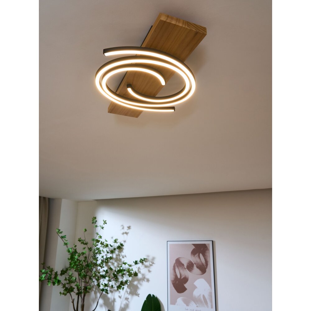 Lutec Rifia Taklampa LED Naturfärger, Svart, 1-ljuskällor main product photo