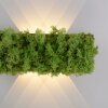 Leuchten-Direkt GREEN CARLO Vägglampa LED Silver, 6-ljuskällor