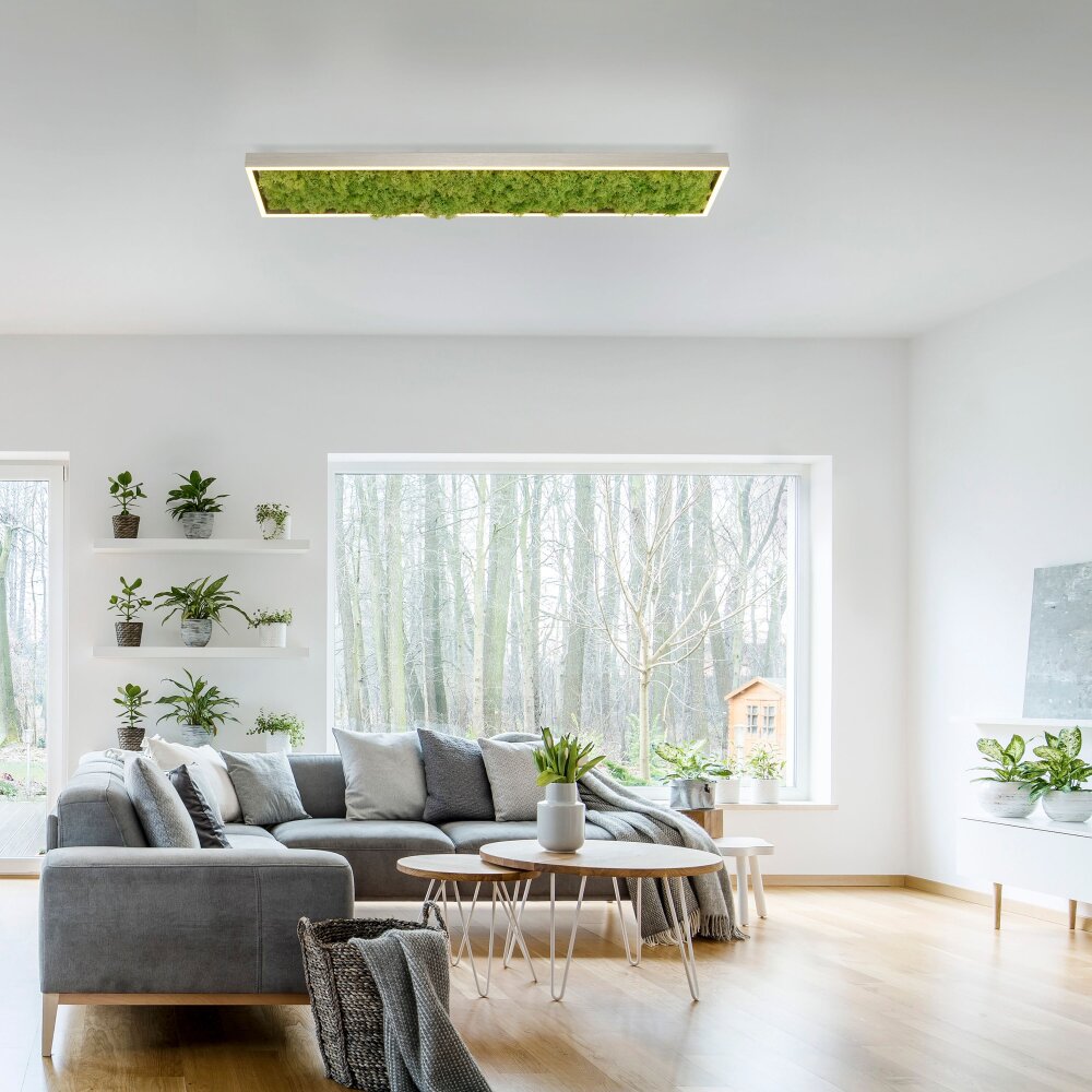 Leuchten Direkt KNUT Taklampa LED Silver, 1-ljuskällor main product photo