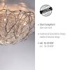 Paul-Neuhaus SAREA Taklampa Silver, 10-ljuskällor