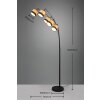 Reality BOLZANO Golvlampa Svart, 5-ljuskällor