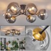 Chehalis Taklampa - Glas 15 cm Guld, Svart, 6-ljuskällor